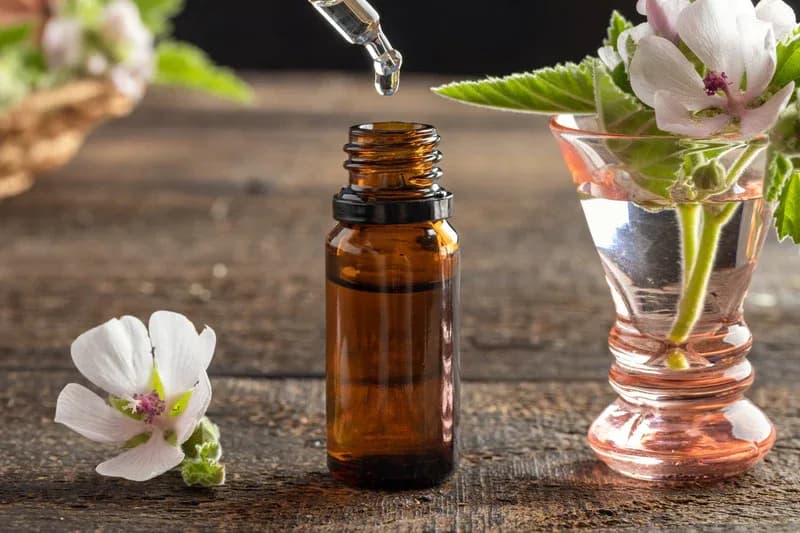 Oral Allergy Drops: A Non‑Invasive Solution